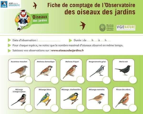 Sciences > Découvrir les chants des oiseaux  Circonscription du  Soissonnais - DSDEN de l'Aisne
