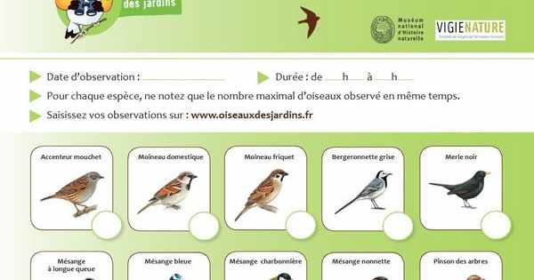 Sciences D Couvrir Les Chants Des Oiseaux Circonscription Du